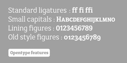 AC Texto Serif Pro Font Poster 6