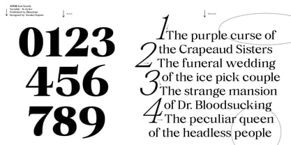 Ater Font Poster 13
