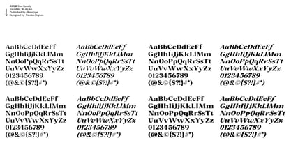 Ater Font Poster 8