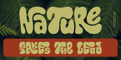 Callidryas Font Poster 5
