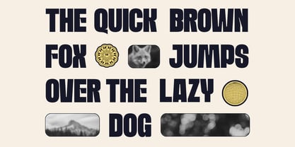 Goola Modern Font Poster 8