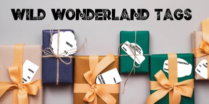 ZP Wild Wonderland Font Poster 9
