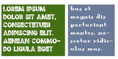 ZP Wild Wonderland Font Poster 5