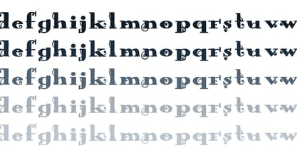 ZP Wild Wonderland Font Poster 8