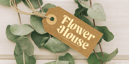 Maker Today Font Poster 4