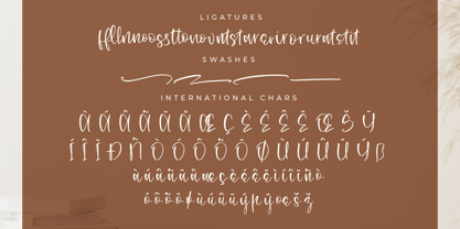 Snerffora Font Poster 8