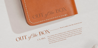 Stallion Font Poster 11