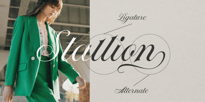 Stallion Font Poster 13