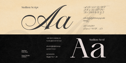 Stallion Font Poster 12