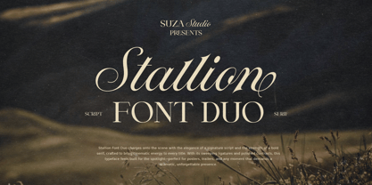 Stallion Font Poster 1