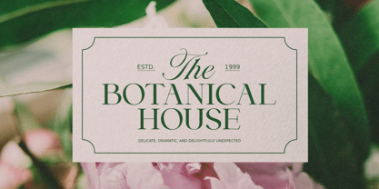 Stallion Font Poster 9