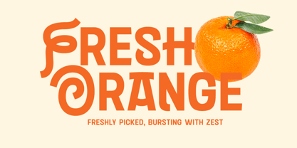 Segaido Font Poster 9