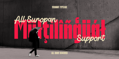 Wishnut Font Poster 2