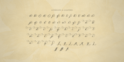 Whispers Font Poster 10