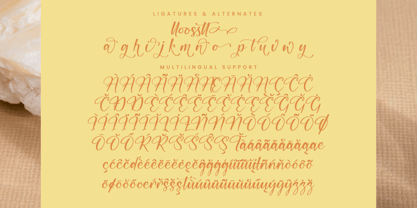 Routisan Darling Font Poster 8