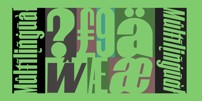 Fyntra Font Poster 6