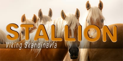 Clario Font Poster 9