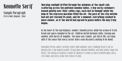 Neonette Serif Font Poster 5