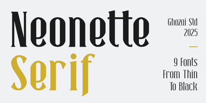 Neonette Serif Font Poster 1