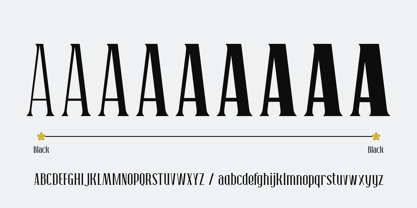 Neonette Serif Font Poster 3