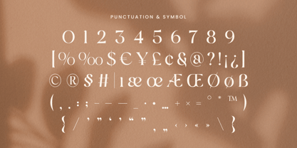 Rachin Font Poster 11