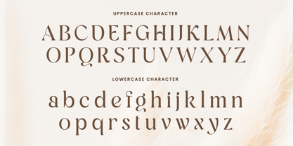 Rachin Font Poster 10