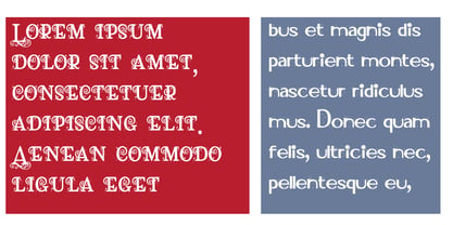 ZP Farmers Frost Font Poster 3