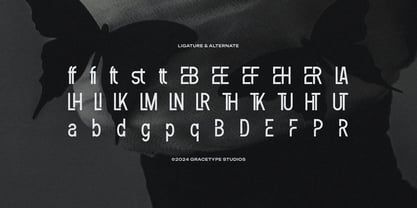 Feaqsta Font Poster 12