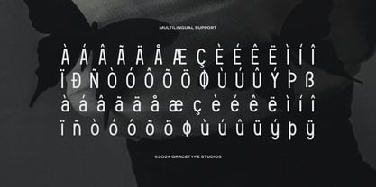 Feaqsta Font Poster 11