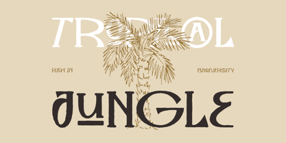 The Folk Moonlight Font Poster 8