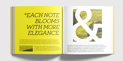 Mirk Slab Font Poster 4