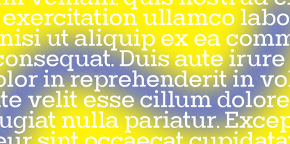 Mirk Slab Font Poster 5