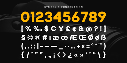 Camon Font Poster 10