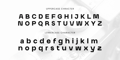 Camon Font Poster 11