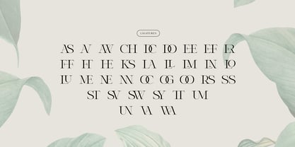 Winter Solace Font Poster 9