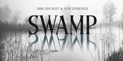 Bristonic Font Poster 5