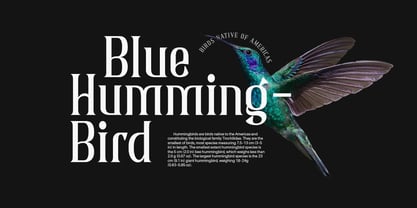 Bristonic Font Poster 6