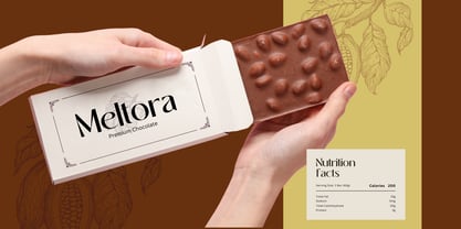 Begies Font Poster 3