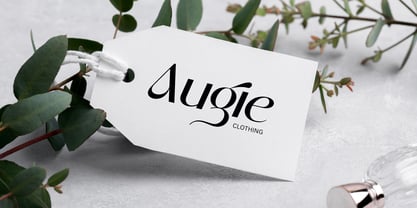 Begies Font Poster 2