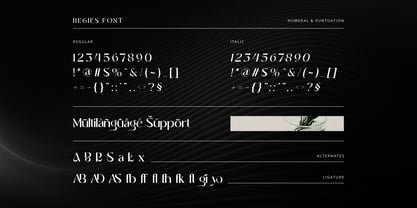 Begies Font Poster 14