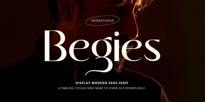 Begies Font Poster 1