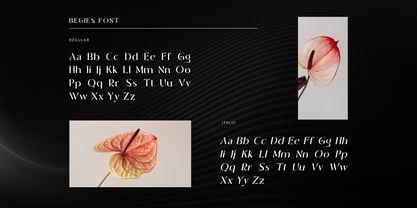 Begies Font Poster 13