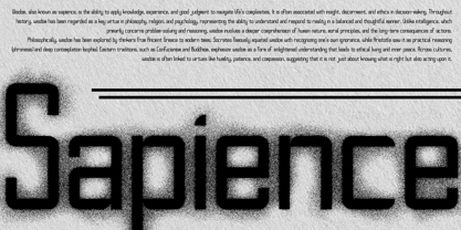 Sapience Font Poster 5