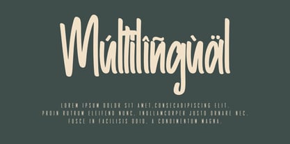 Baldhey Font Poster 7