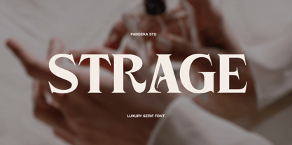 Strage Font Poster 1