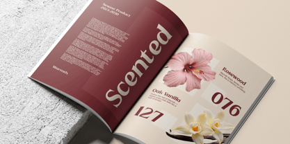 Strage Font Poster 7