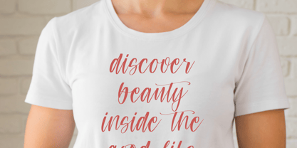 Teracota Strokes Font Poster 7