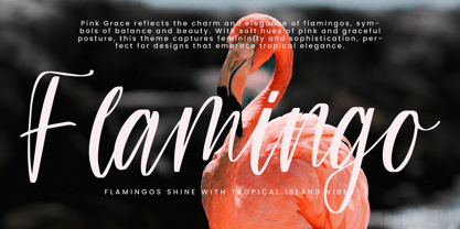 Teracota Strokes Font Poster 6