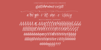 Teracota Strokes Font Poster 8