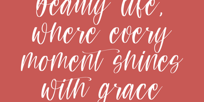 Teracota Strokes Font Poster 9